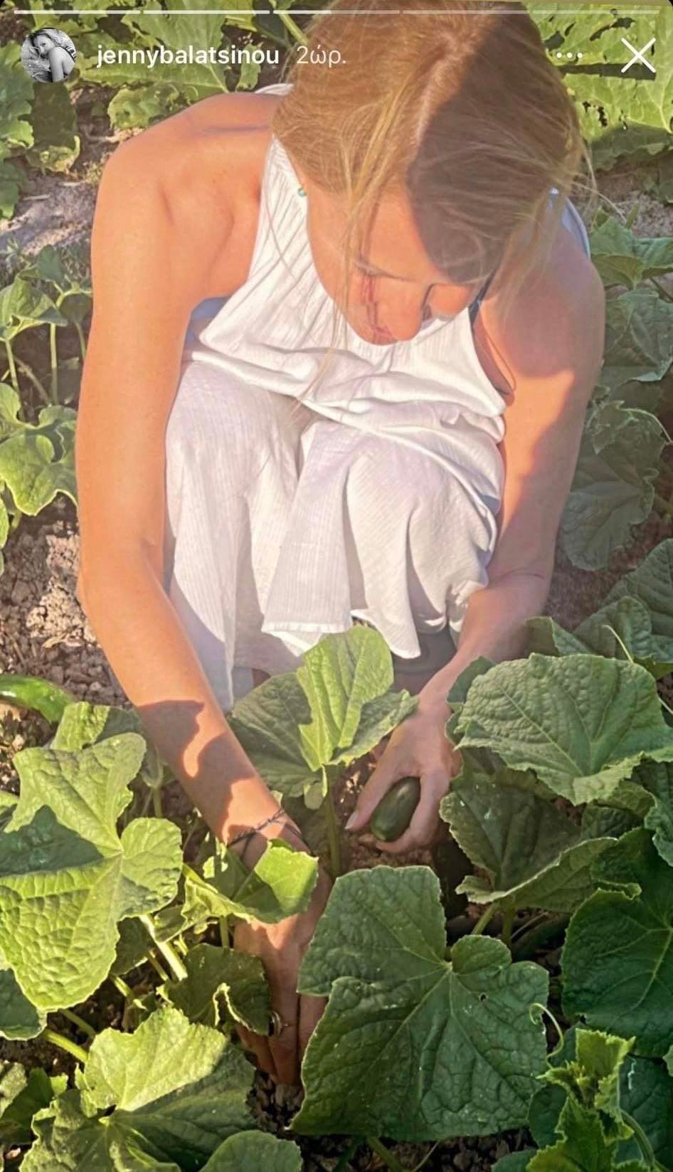 Τζένη Μπαλατσινού: Απαθανατίζεται στο καταπράσινο μποστάνι του κήπου της και μας δείχνει πως το περιποιείται