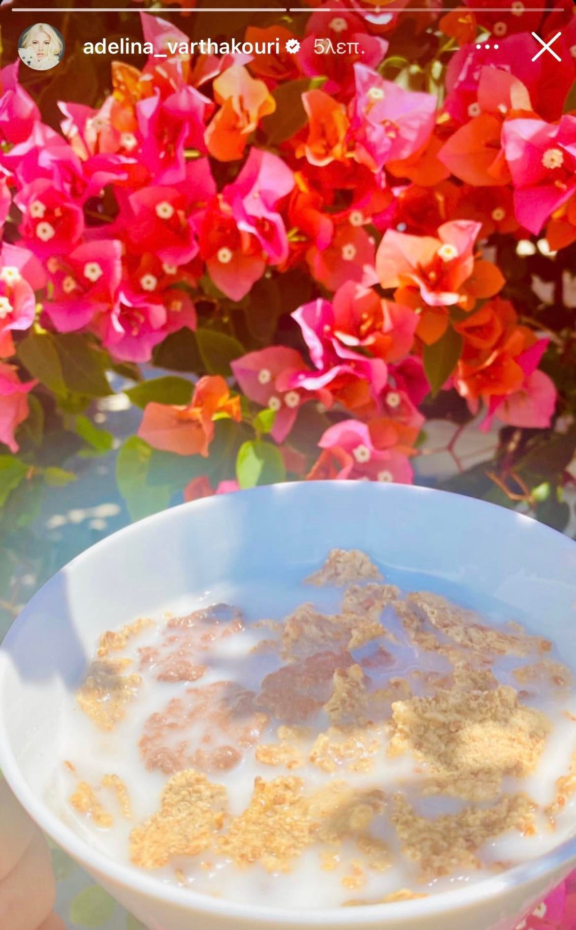 Αντελίνα Βαρθακούρη: Μας δείχνει το πρωινό που απολαμβάνει κατά την διάρκεια της διατροφή της
