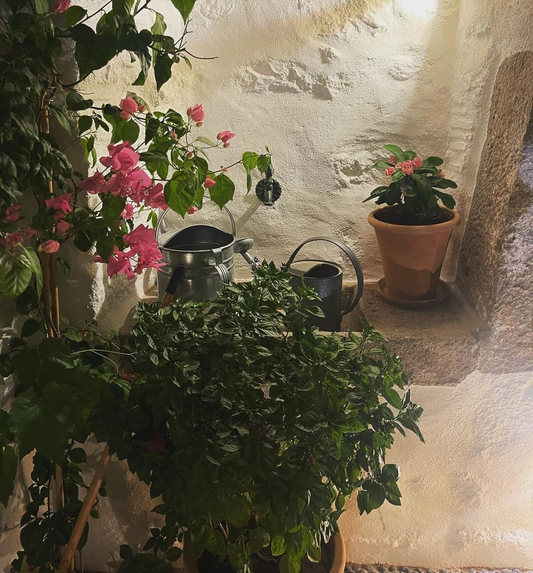 Τζένη Μπαλατσινού: Μας δείχνει την απίστευτα διακοσμημένη αυλή της αλλά και την θέα από το εξοχικό της στην Πάτμο